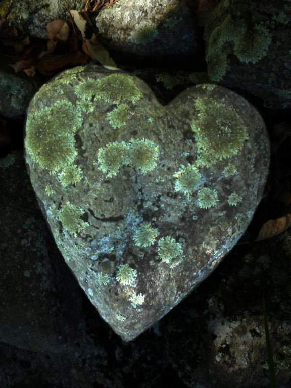 Os mitos do amor – Silmara Franco