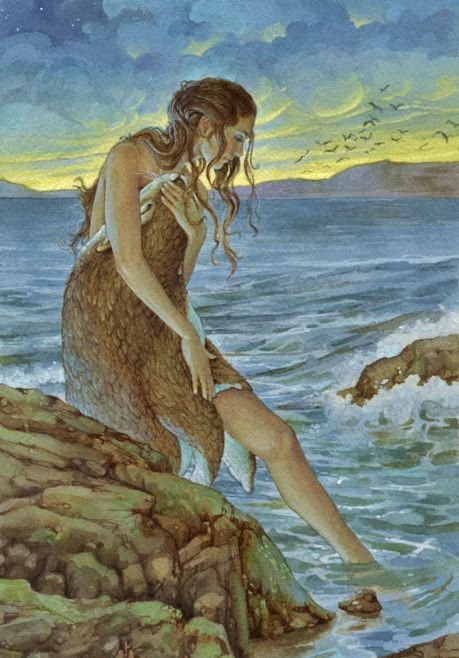 Pele de foca, pele da alma – conto tradicional