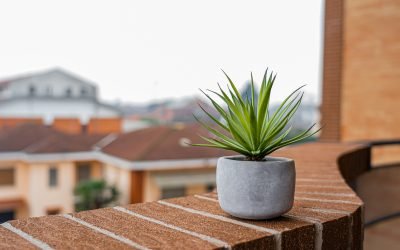 Ansiedade, quando ela atravessa as fronteiras do aceitável