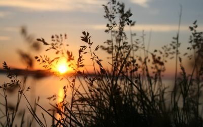 Finitudes